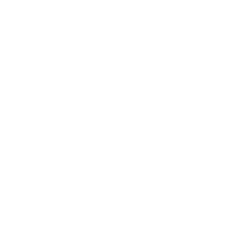 css3 logo