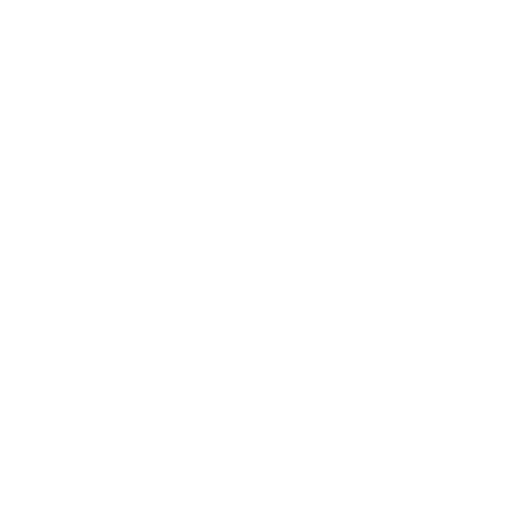 seo icon